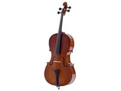 Palatino A45 Allegro Cello Outfit 4/4