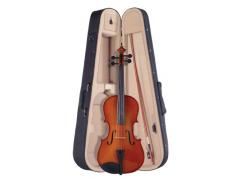 Palatino A45 Allegro Viola Outfit 15"