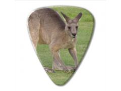 Australian Series Guitar Pick - Kangaroo