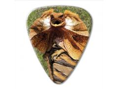 Australian Series Guitar Pick - Frill Neck Lizard