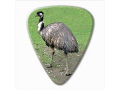 Australian Series Guitar Pick - Emu