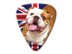 World Country Series - England - Refill Bulldog