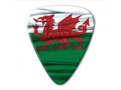 World Country Series - Wales - Photo Flag Pick