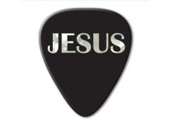 Unlimited Series Guitar Pick - Pearl Jesus