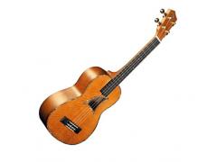 Eddy Finn EF-80C Mango Concert Ukulele