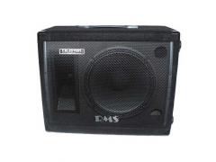 RMS 12" 2 Way Speaker/Monitor Box