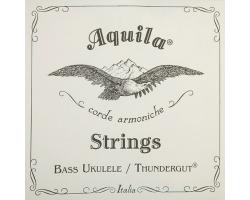 Aquila Thundergut Bass Ukulele Set 68U
