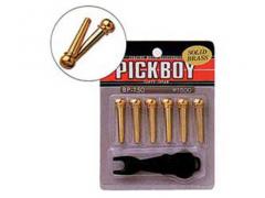 Pickboy Guitar Bridge Pin Set with Tool Brass