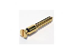 Schaller Tremolo Pivot Screw 389002 Gold