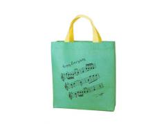 Music Carry Bag Tall Green with Notes
