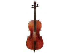 Palatino A95 Anziano Cello Outfit