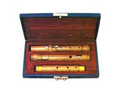Irish Flute - Cocuswood with Key 4 Piece with Case