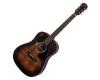 Aria Delta Players Series Dreadnought Acoustic Guitar