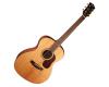 Cort Gold O6 OM Style Acoustic Guitar