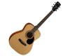 Cort AF510 Folk Acoustic Guitar