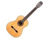 Katoh MCG50S Solid Spruce Top Classical Guitar