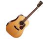 Cort Gold D6 Dreadnought Acoustic