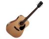 Cort AD810E Dreanought Acoustic with Pickup