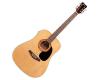 Kohala KG100SE Dreadnought Guitar with Pickup Natural