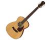 Aria ADF-01SN Folk Acoustic Guitar Satin Natural