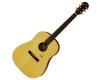 Aria MF240 Mayfair Dreadnought Acoustic Guitar Matt Natural