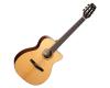 Cort Gold OC8 Nylon Classical guitar