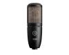 AKG P220 Large Diaphragm Condenser Microphone