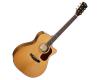 Cort Gold-A6 Bocote Auditorium Acoustic Guitar