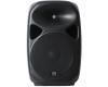 Leem SPA-15 Active 200W 2-Way 15" PA Speaker