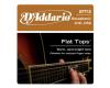 D'Addario Phosphor Bronze Flat Top 16-56 Resophonic - EFT13