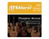 D'Addario Phosphor Bronze 12-56 Bluegrass - EJ19