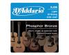 D'Addario Phosphor Bronze 12 String 10-47 Light - EJ38