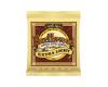 Ernie Ball Earthwood 80/20 - 10/50 Extra Light 2006