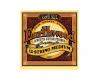 Ernie Ball Earthwood 80/20 12 String - 11/52 Medium 2012