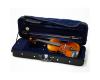 Raggetti RV5 Violin Outfit