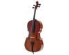 Palatino A45 Allegro Cello Outfit 4/4