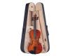 Palatino A45 Allegro Viola Outfit 15"