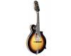 Paris Swing MS-120 Nuages Mandolin Oval-Hole Sunburst