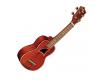 Eddy Finn EF-20C Solid Mahogany/Abalone Concert Ukulele