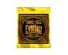 Ernie Ball Everlast Coated 80/20 Bronze - 10/50 Extra Light 2560