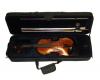 Palatino Maggini Violin Outfit VN-1500