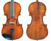 Enrico Custom Series Violin Outfit