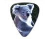 Australian Series Guitar Pick - Koala
