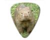 Australian Series Guitar Pick - Wombat