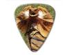 Australian Series Guitar Pick - Frill Neck Lizard