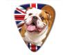 World Country Series - England - Refill Bulldog