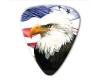 World Country Series - USA - Bald Eagle Pick