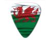 World Country Series - Wales - Photo Flag Pick