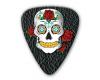 Themed Series Sugar Skull Guitar Picks - Black Skull