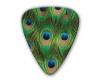 Themed Series Animal Guitar Picks Print - Peacock